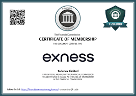 Insights into Trading Reviews Of Exness From Real Traders